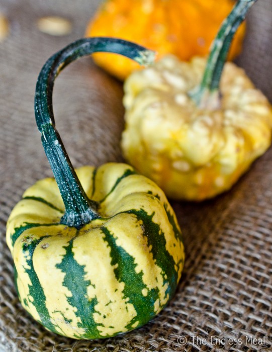10 Thanksgiving Appetizers by The Endless Meal