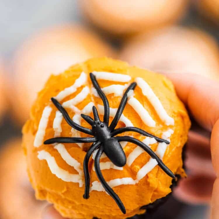 A hand holding a Halloween spider cupcake.