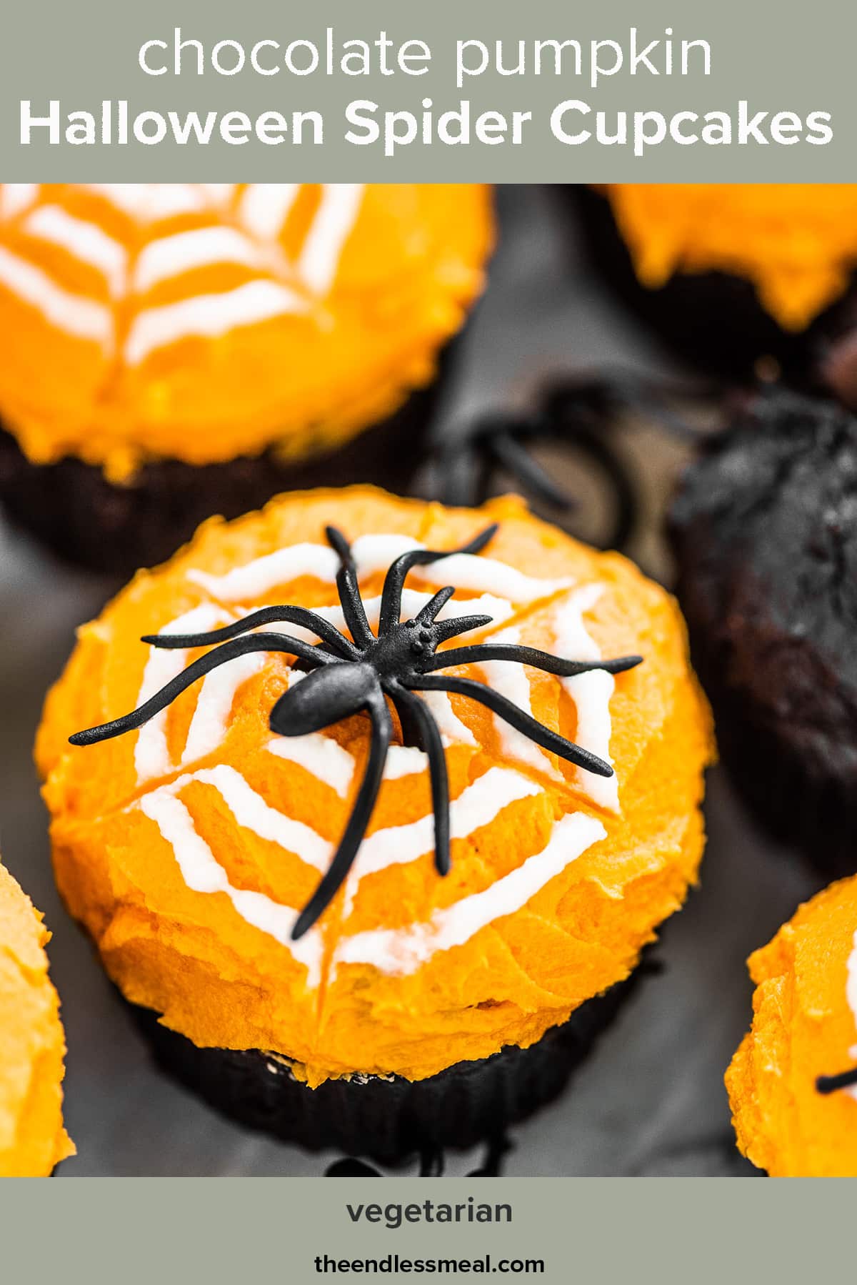 Pumpkin chocolate cupcakes decorated with orange icing an a spider web and spider on top and the recipe title on the picture.