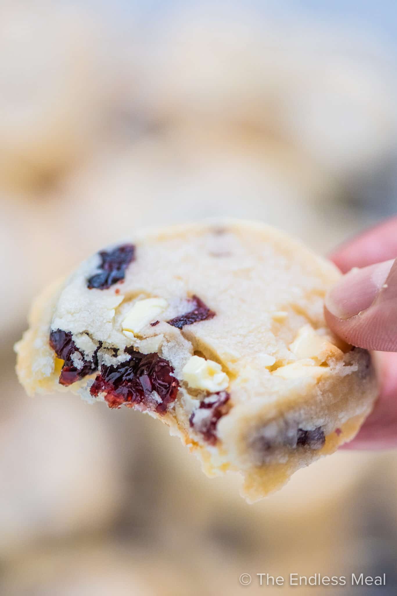 A hand holding a white chocolate cranberry cookie.