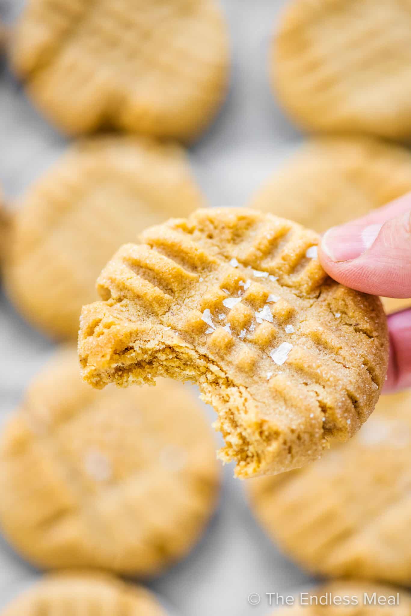 A hand holding a peanut butter cookie with a bite taken out of it .