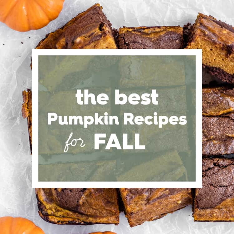 A picture of pumpkin brownies with the words Pumpkin Recipes for Fall on top.