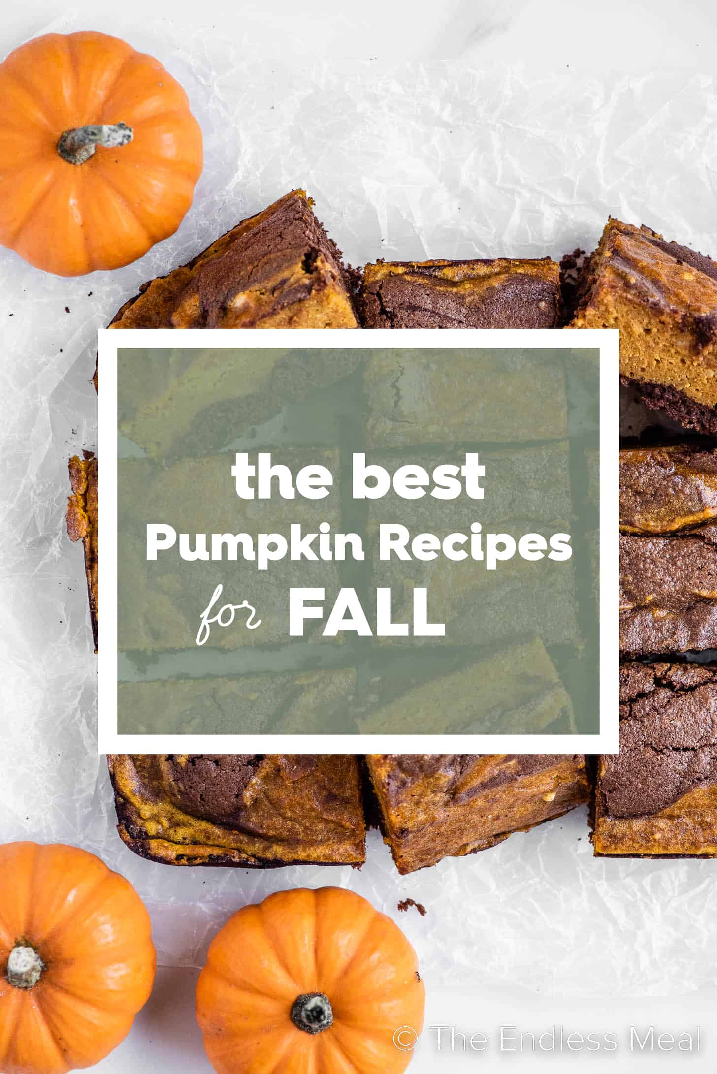 A picture of pumpkin brownies with the words Pumpkin Recipes for Fall on top.