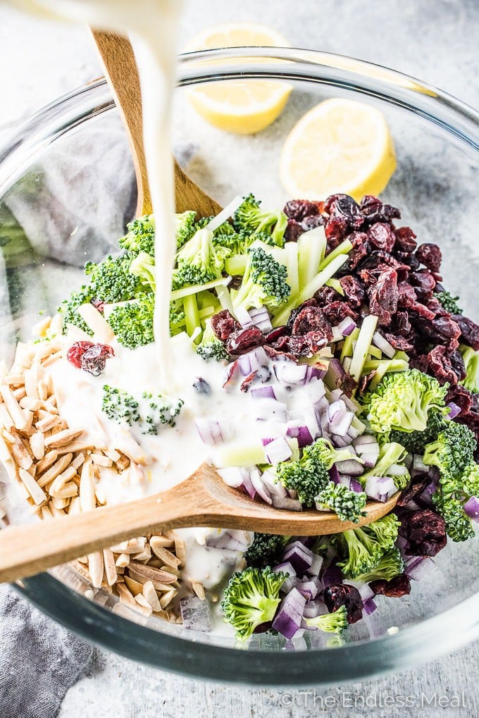 This classic (and healthy!) Broccoli Coleslaw recipe is made with fresh chopped broccoli and loaded with cranberries and slivered almonds and dotted with red onions. The lightly sweet and tangy lemon buttermilk dressing is easy to make and crazy delicious. You definitely want to make this! | vegetarian + gluten-free + refined sugar free | theendlessmeal.com | #coleslaw #broccoli #broccolislaw #slaw #healthyrecipes #healthymeals #kidfriendly #salad #vegetarian #glutenfree 