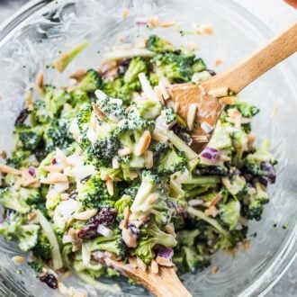This classic (and healthy!) Broccoli Coleslaw recipe is made with fresh chopped broccoli and loaded with cranberries and slivered almonds and dotted with red onions. The lightly sweet and tangy lemon buttermilk dressing is easy to make and crazy delicious. You definitely want to make this! | vegetarian + gluten-free + refined sugar free | theendlessmeal.com | #coleslaw #broccoli #broccolislaw #slaw #healthyrecipes #healthymeals #kidfriendly #salad #vegetarian #glutenfree