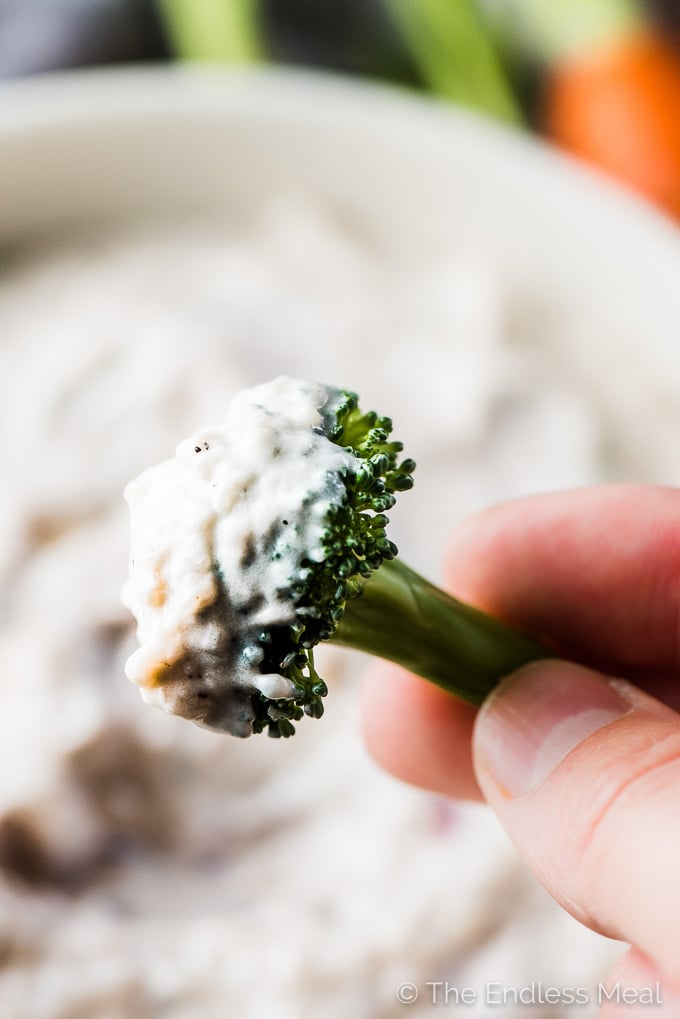 Fingers holding a piece of broccoli with caramelized onion dip on it.