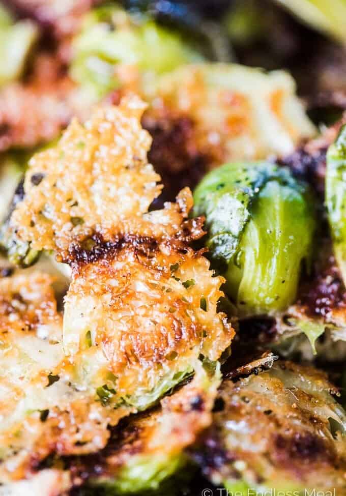 A close up shot of parmesan brussels sprouts with melted parmesan cheese sticking to the cut edge of the brussels.