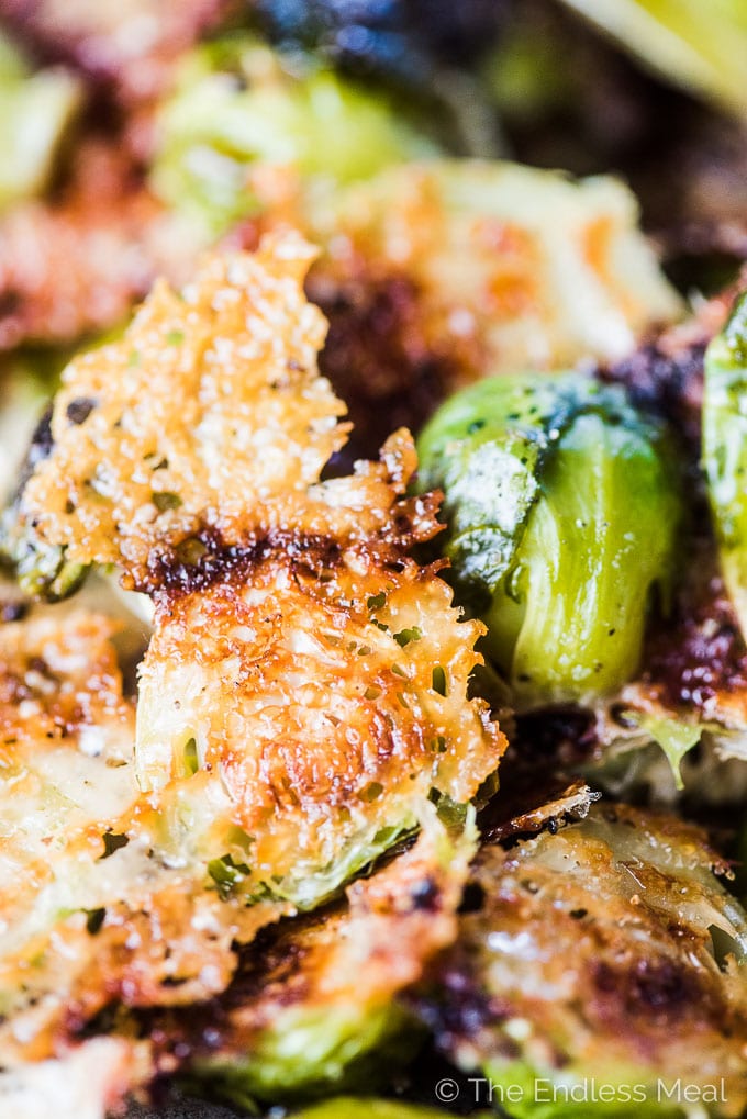 A close up shot of parmesan brussels sprouts with melted parmesan cheese sticking to the cut edge of the brussels. 
