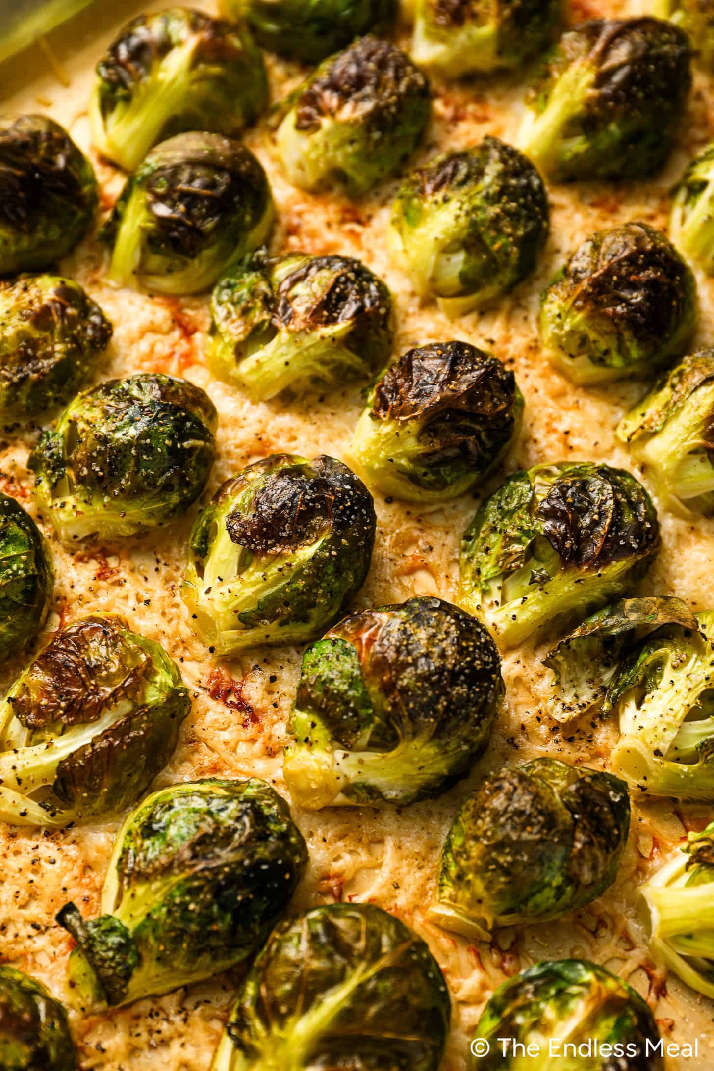 Parmesan Roasted Brussels Sprouts lined up on a baking sheet