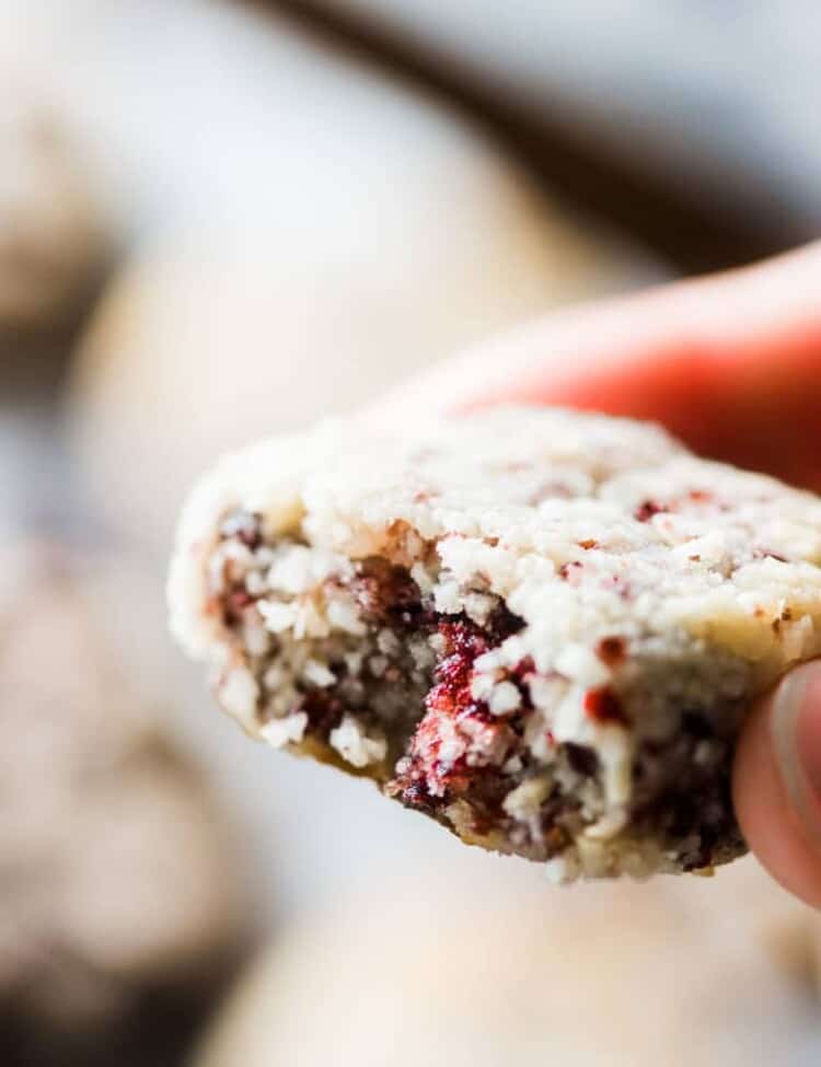A hand holding one of the Cranberry Coconut Macaroons with a bite out of it.