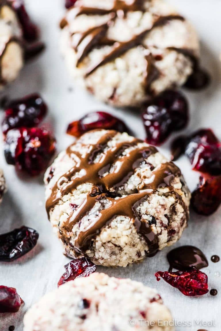 A closeup of Cranberry Coconut Macaroons with chocolate drizzled on top and some dried cranberries on the side. 