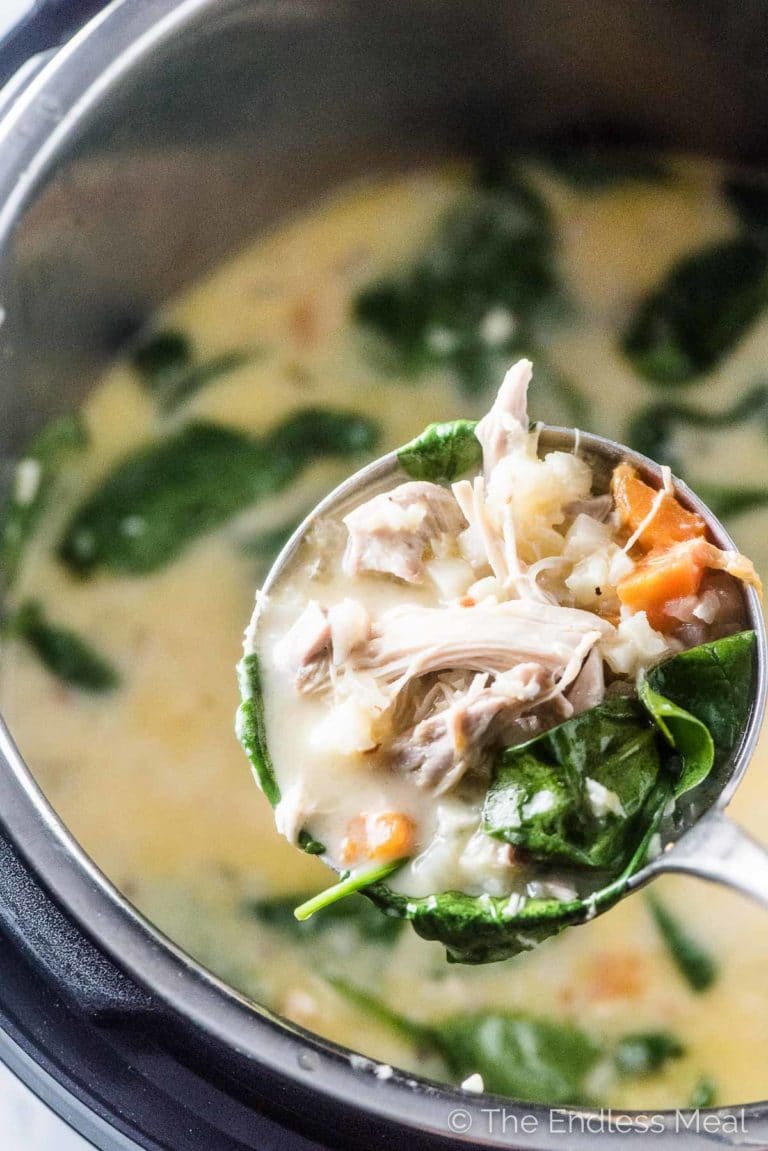 A ladle full of lemon chicken soup coming out of the Instant Pot.