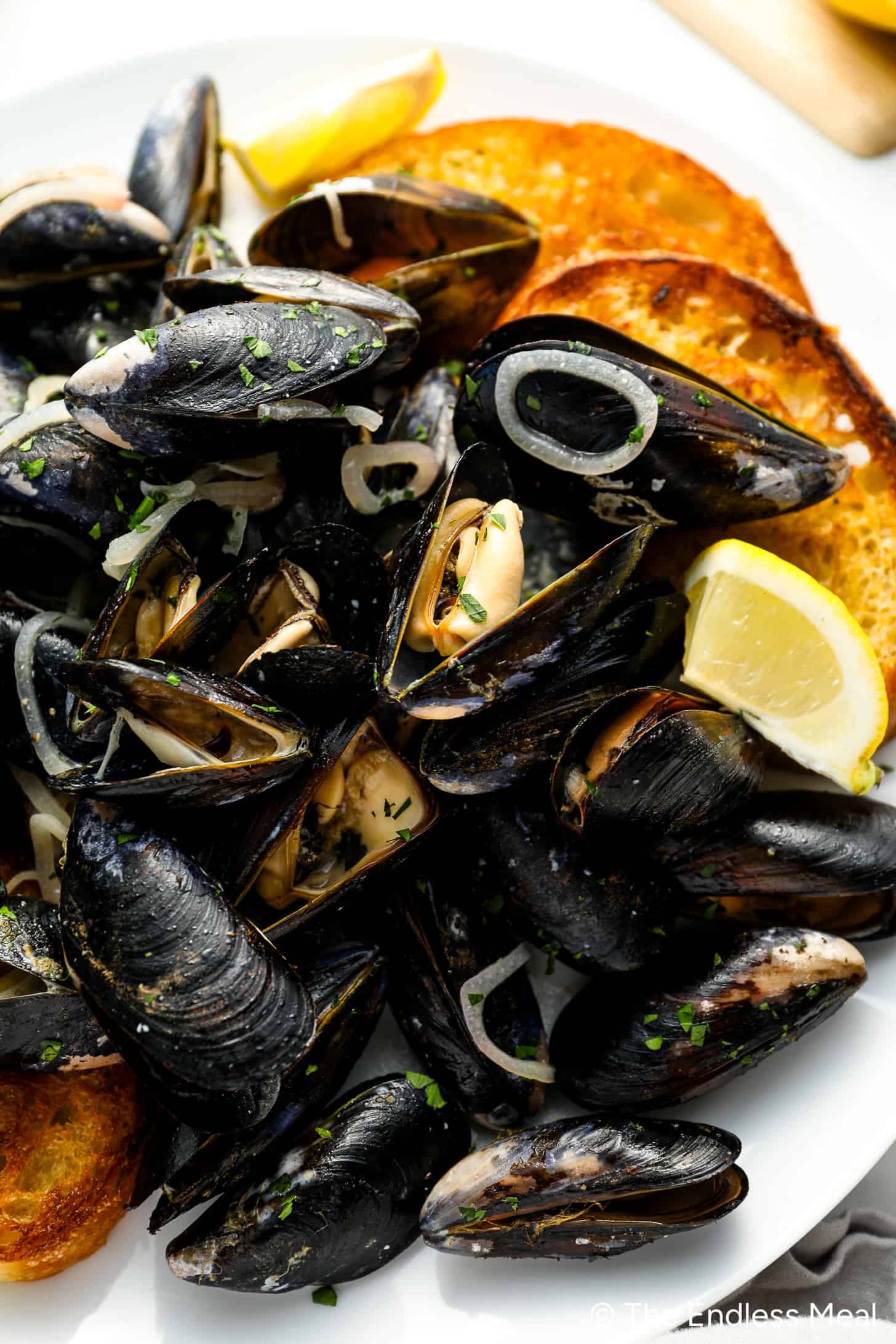 Mussels in White Wine Sauce in a bowl with bread.