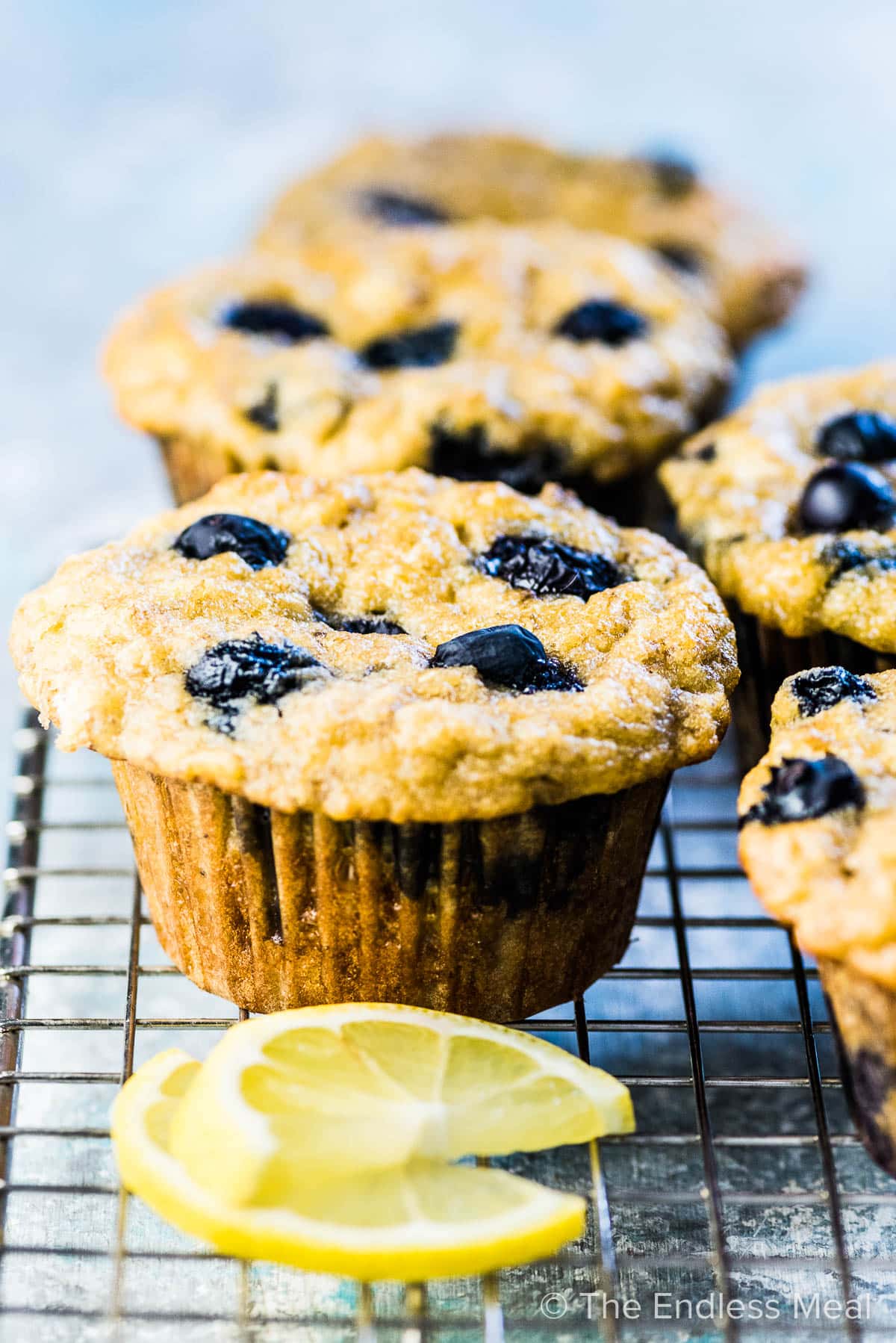 Paleo blueberry muffins on a cooling rack with a few lemon slices. 