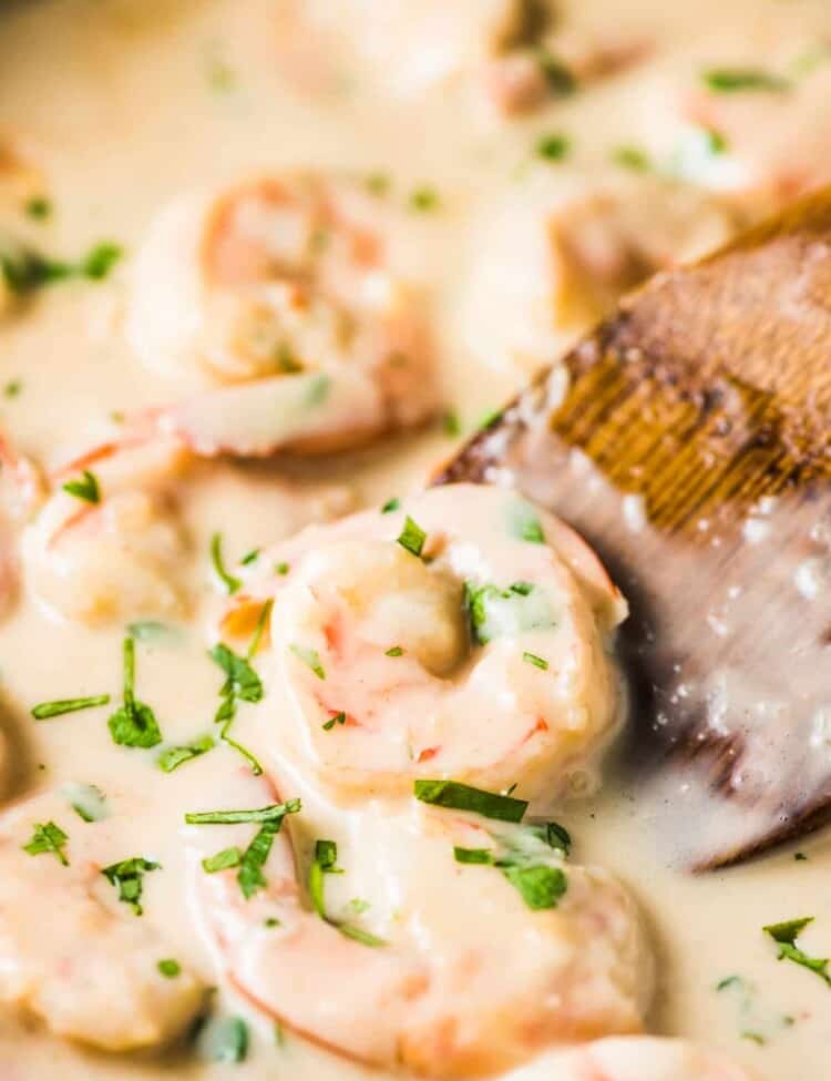A close up of creamy coconut lime shrimp in a creamy coconut sauce with cilantro.