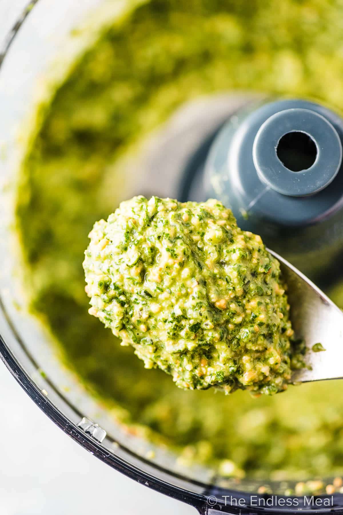 A spoonful of dairy free pesto scooped out of the food processor.