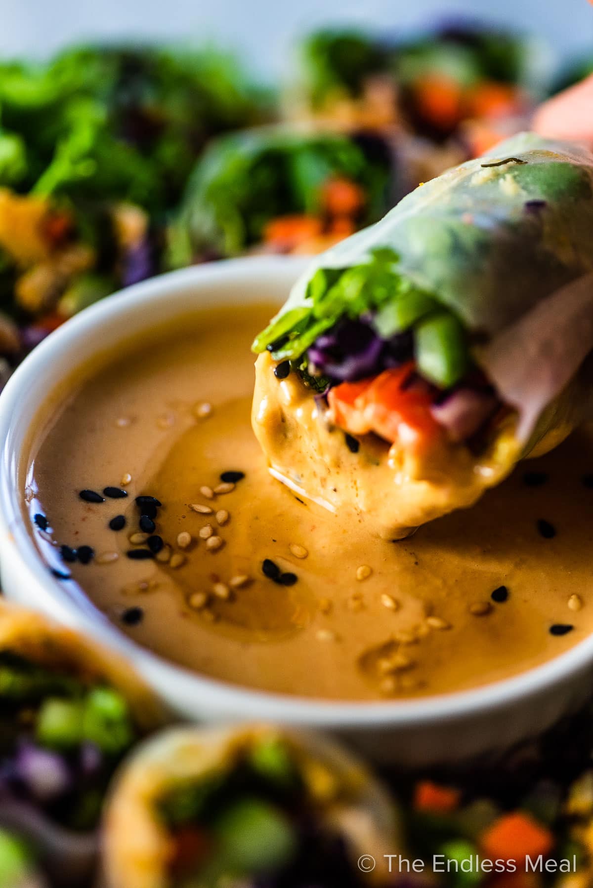 A fresh spring roll being dipped into spicy tahini sauce.