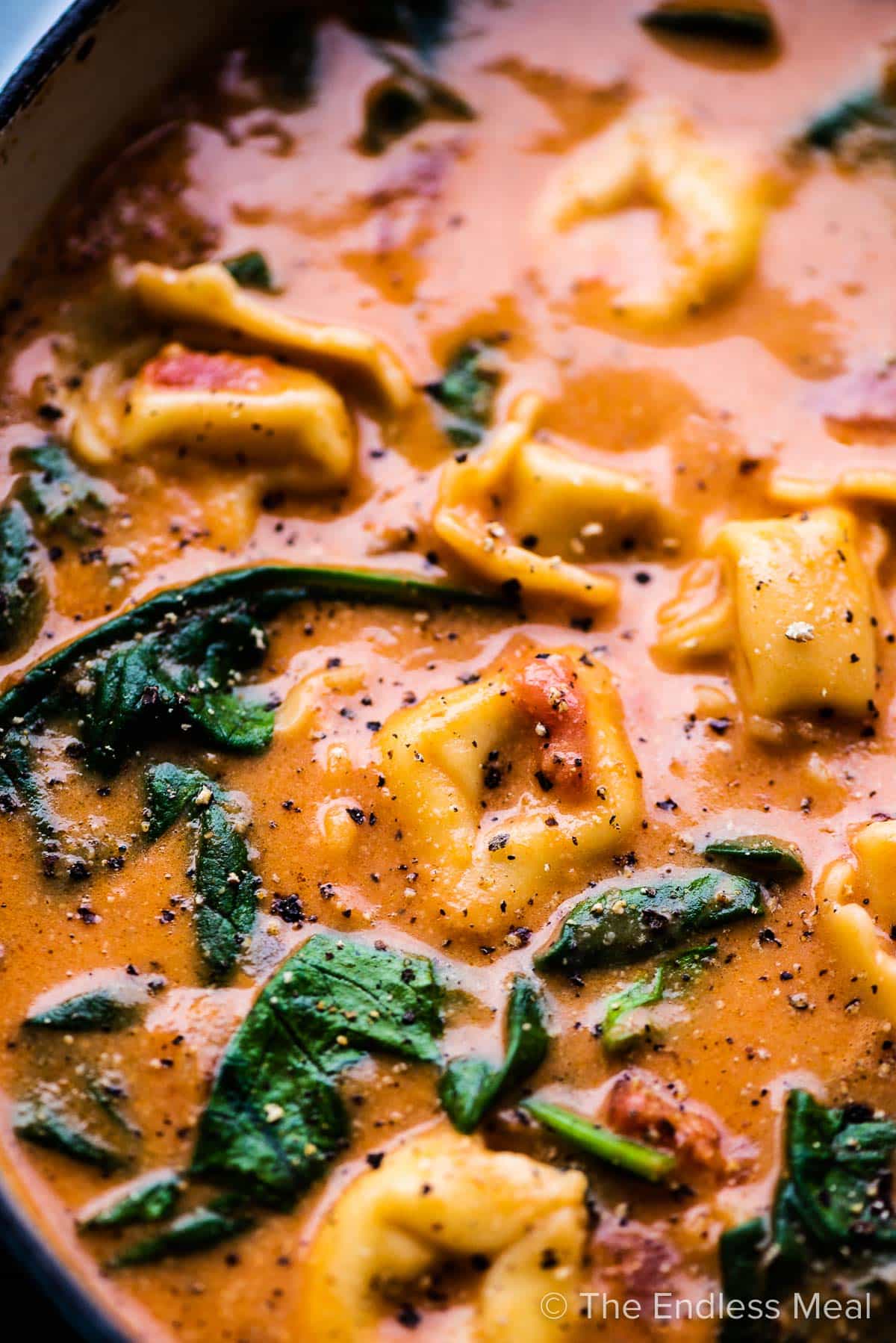A close up of creamy spinach tortellini soup.
