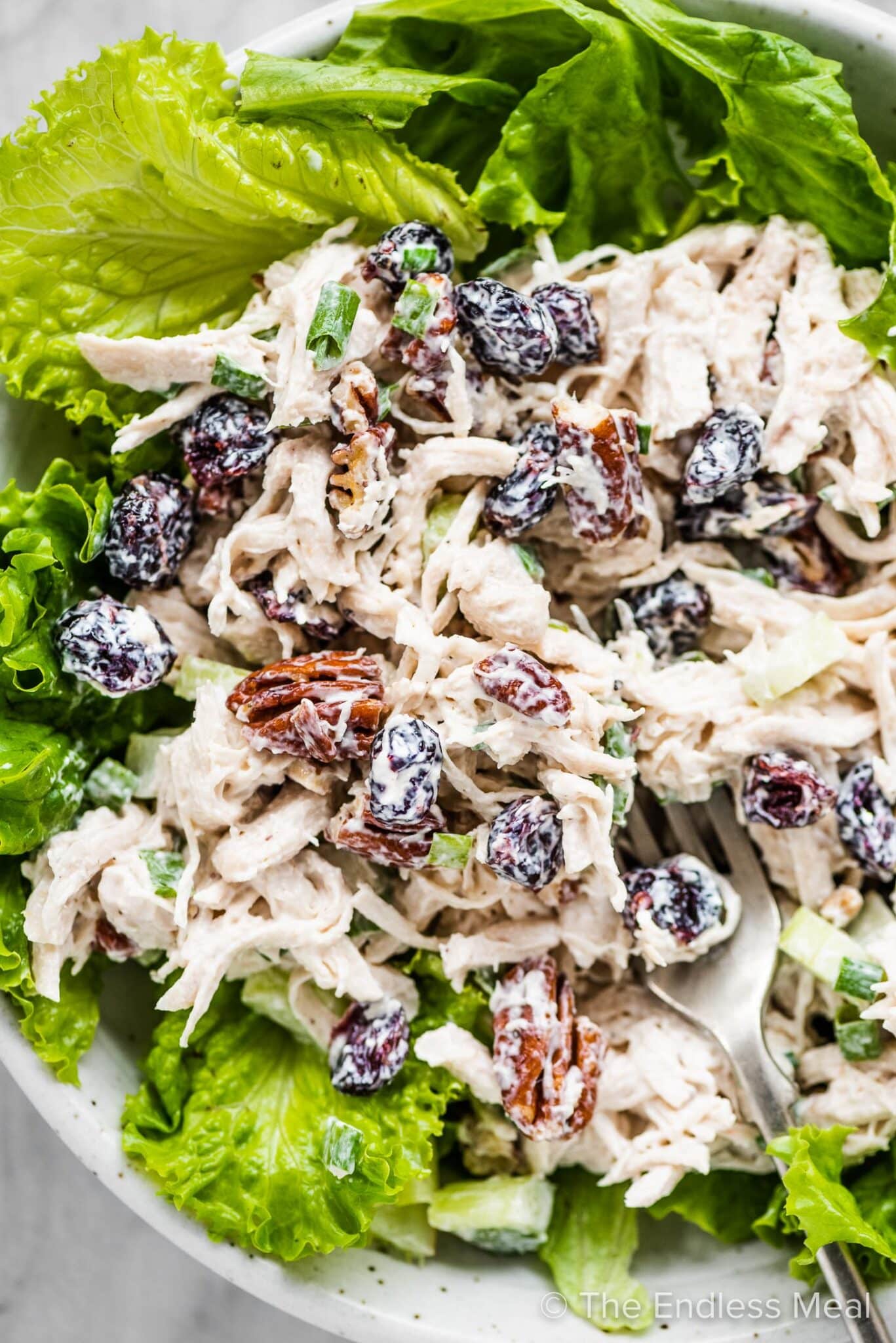 Cranberry chicken salad on a bed of greens. 