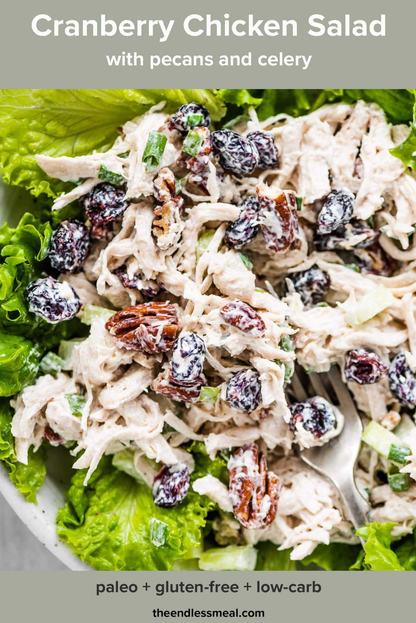 Cranberry chicken salad on a bed of greens with the recipe title on top of the picture.