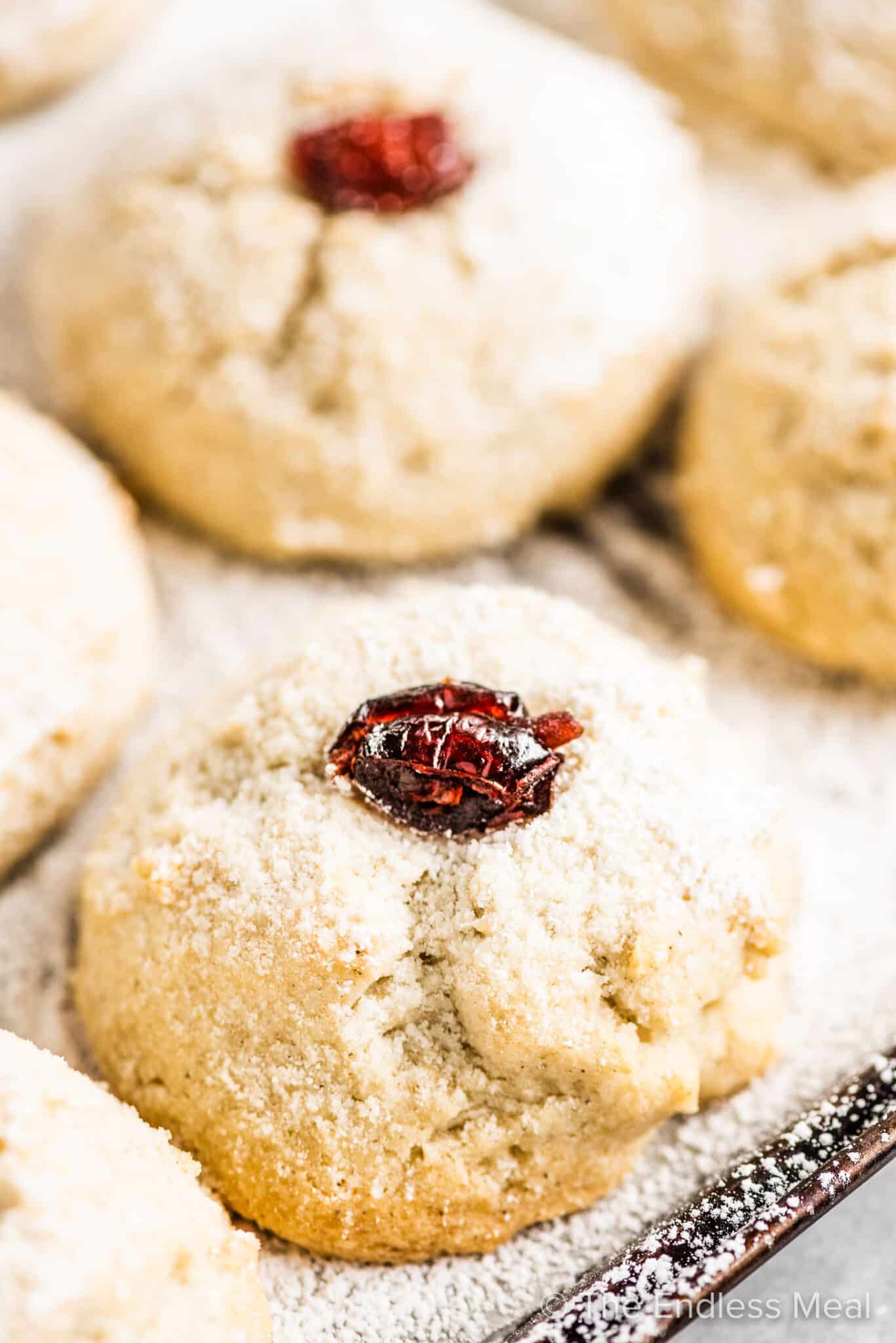 A closeup of gluten free shortbread cookies with dried cranberries on top on a baking sheet. 