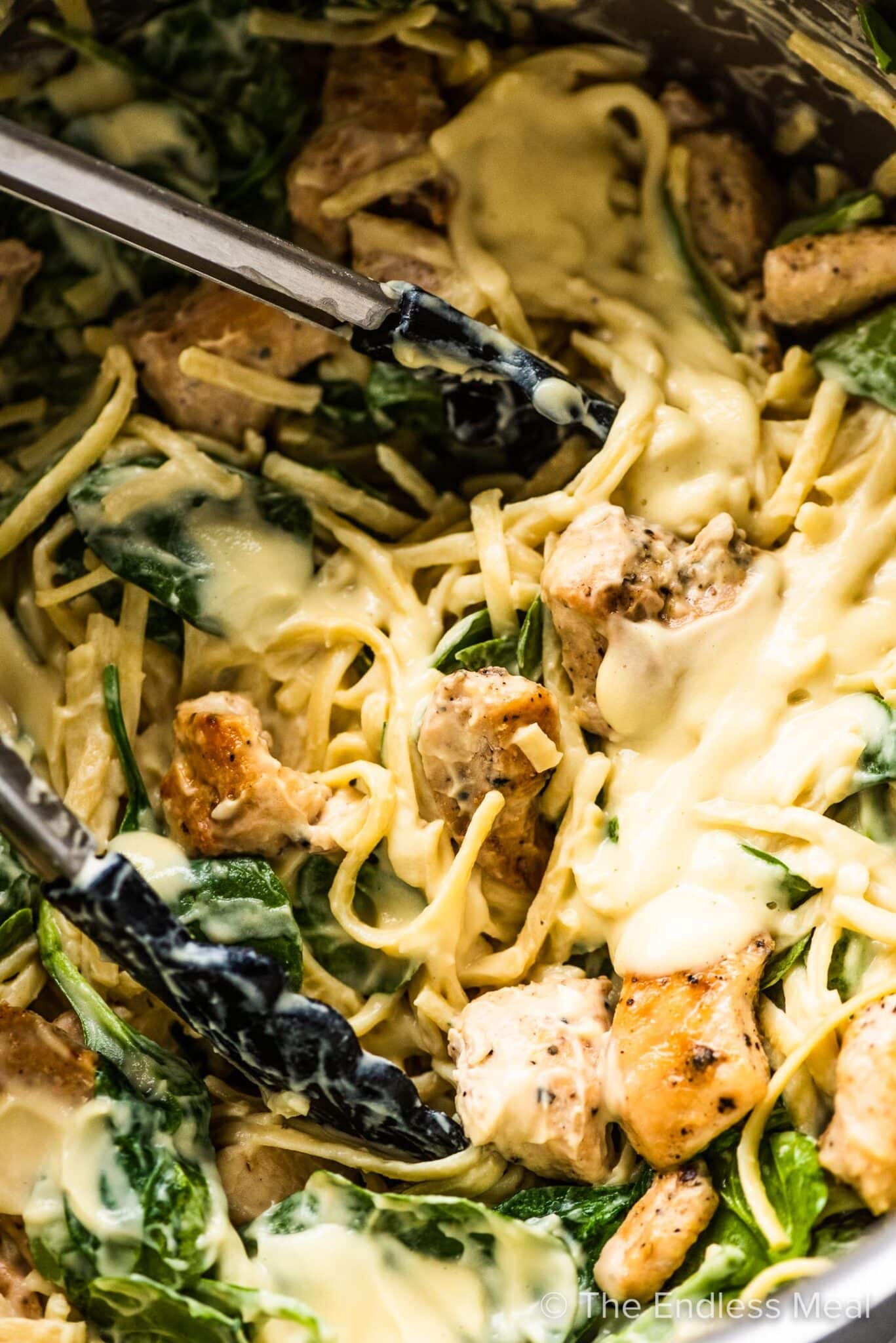 A closeup of tongs taking some healthy chicken alfredo out of a pot. 