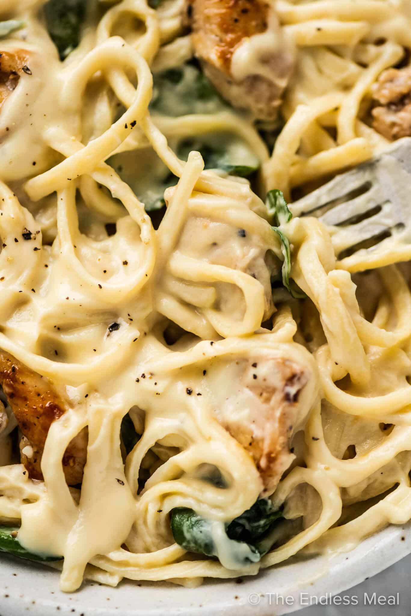 A close up of fork twirling healthy chicken alfredo noodles.