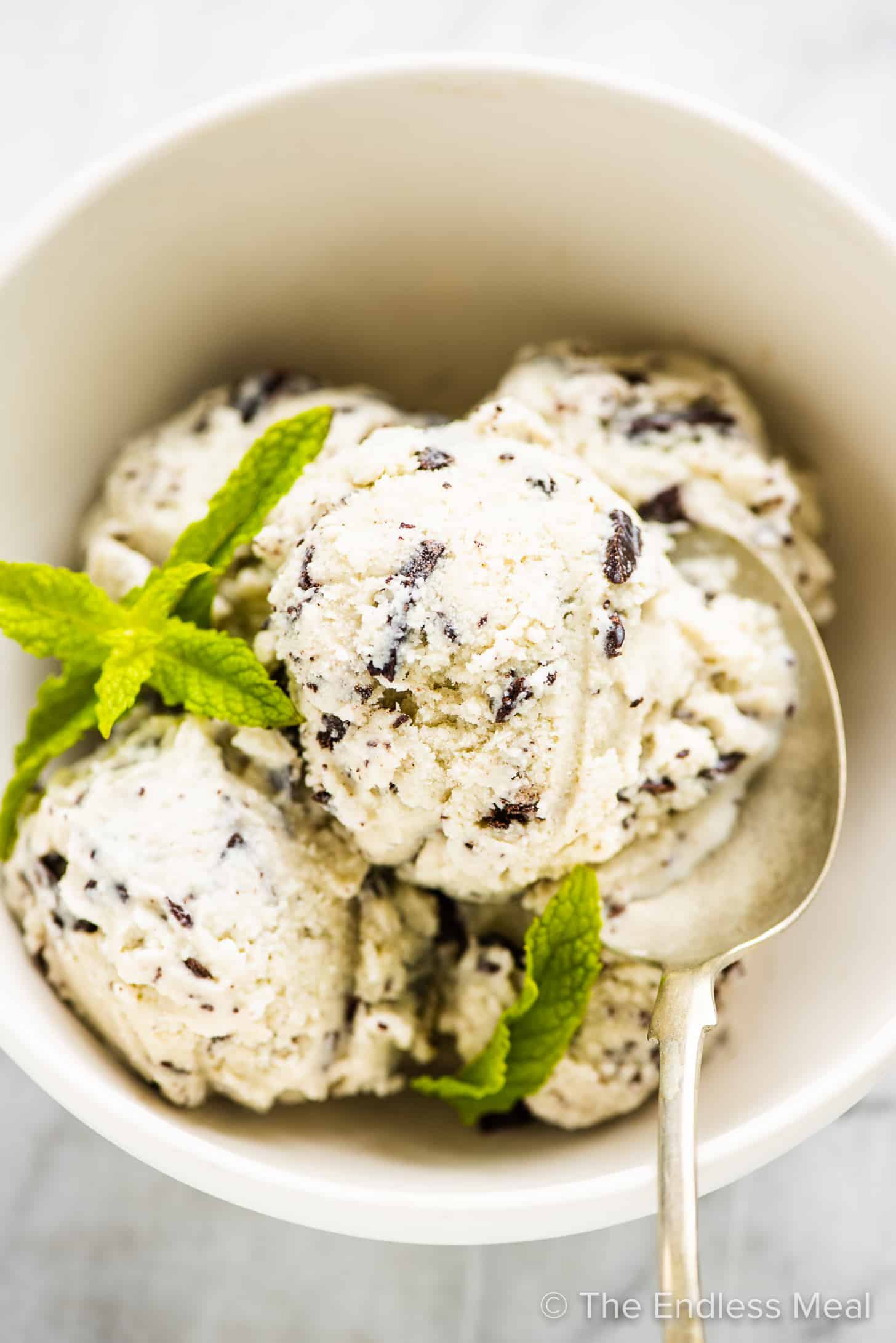 Mint chocolate chip ice cream in a white bowl with a spoon.