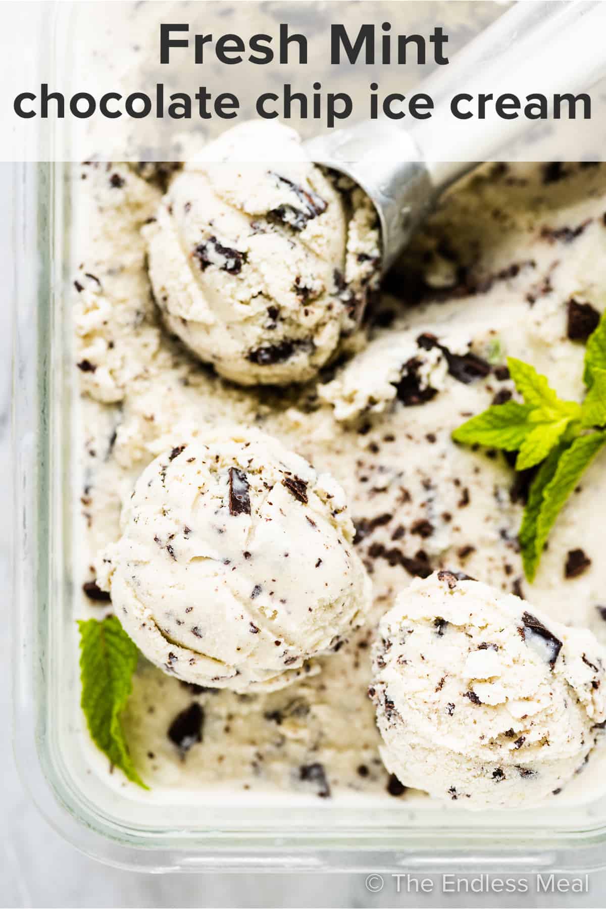 mint chocolate chip ice cream scooped into balls and the recipe title on top of the picture. 