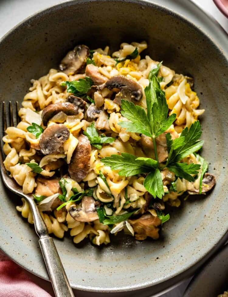 A bowl of chicken mushroom pasta topped off with parsley.