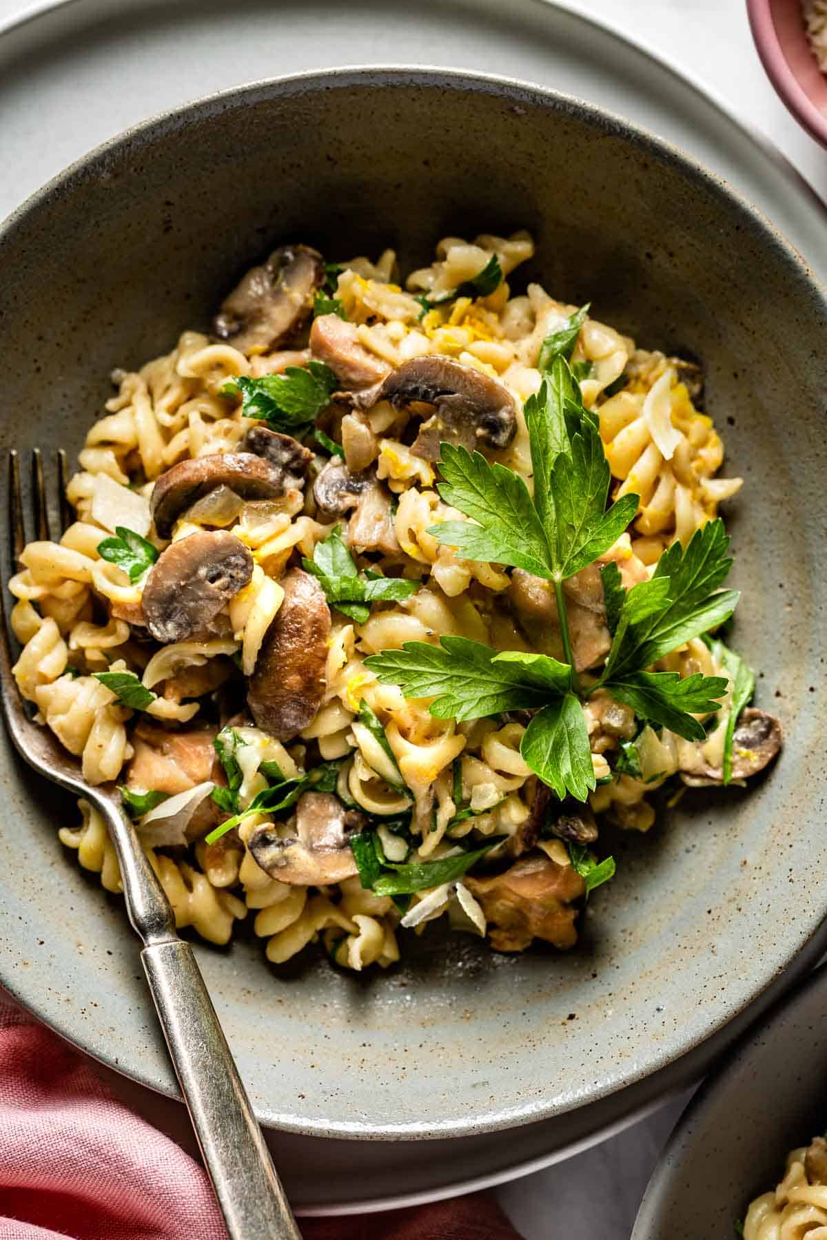 A bowl of chicken mushroom pasta topped off with parsley.