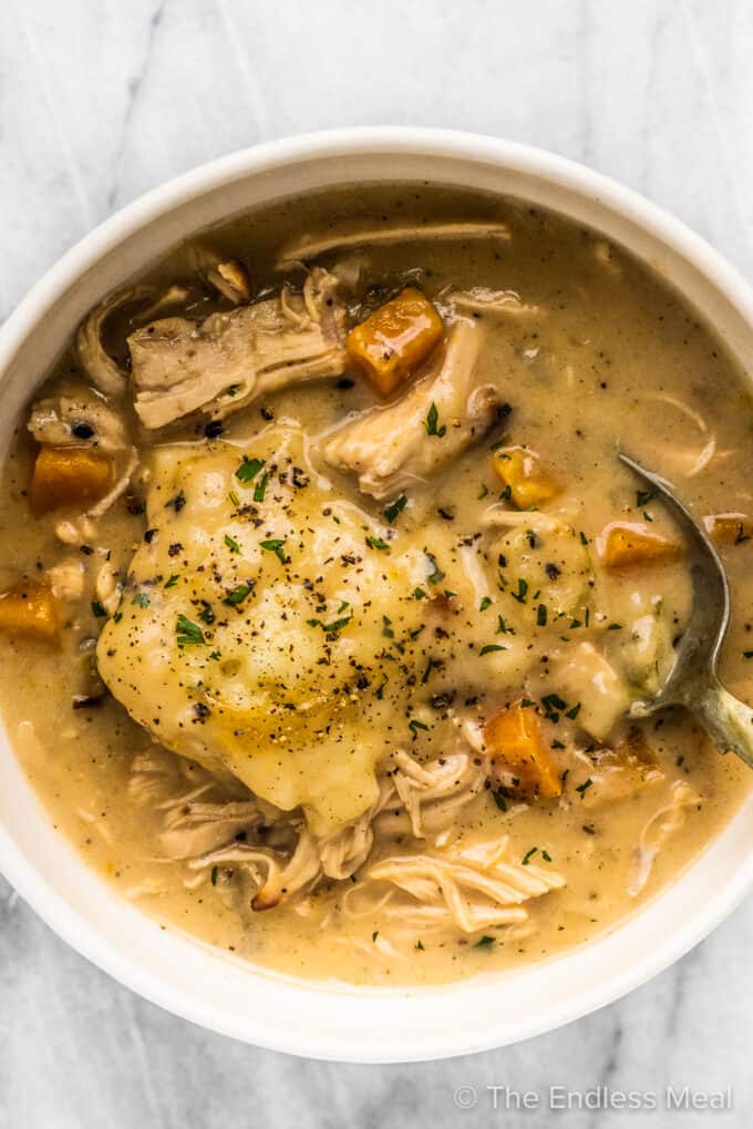 A bowl of creamy chicken stew with dumplings on top.