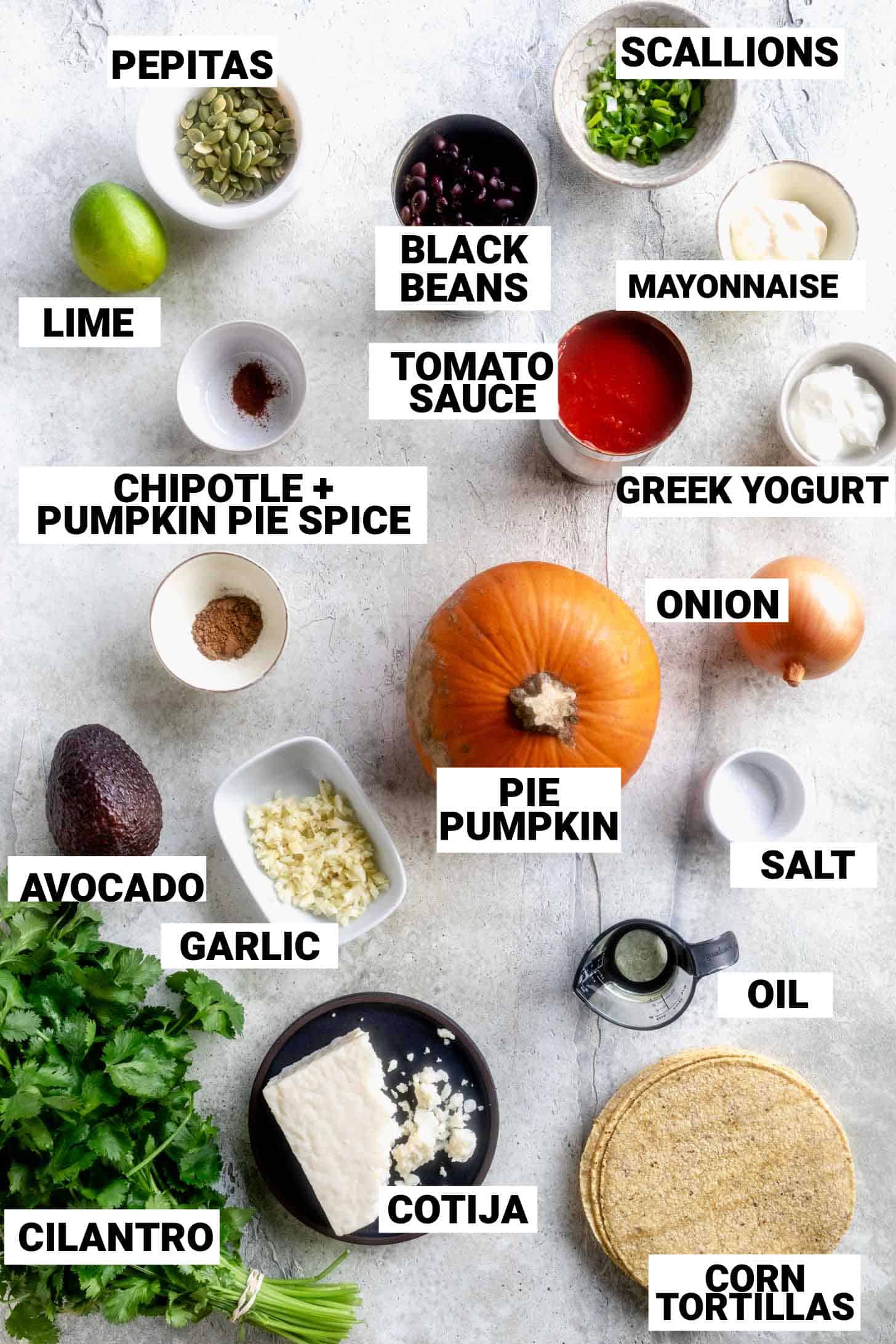 the ingredients for this pumpkin taco recipe with labels 