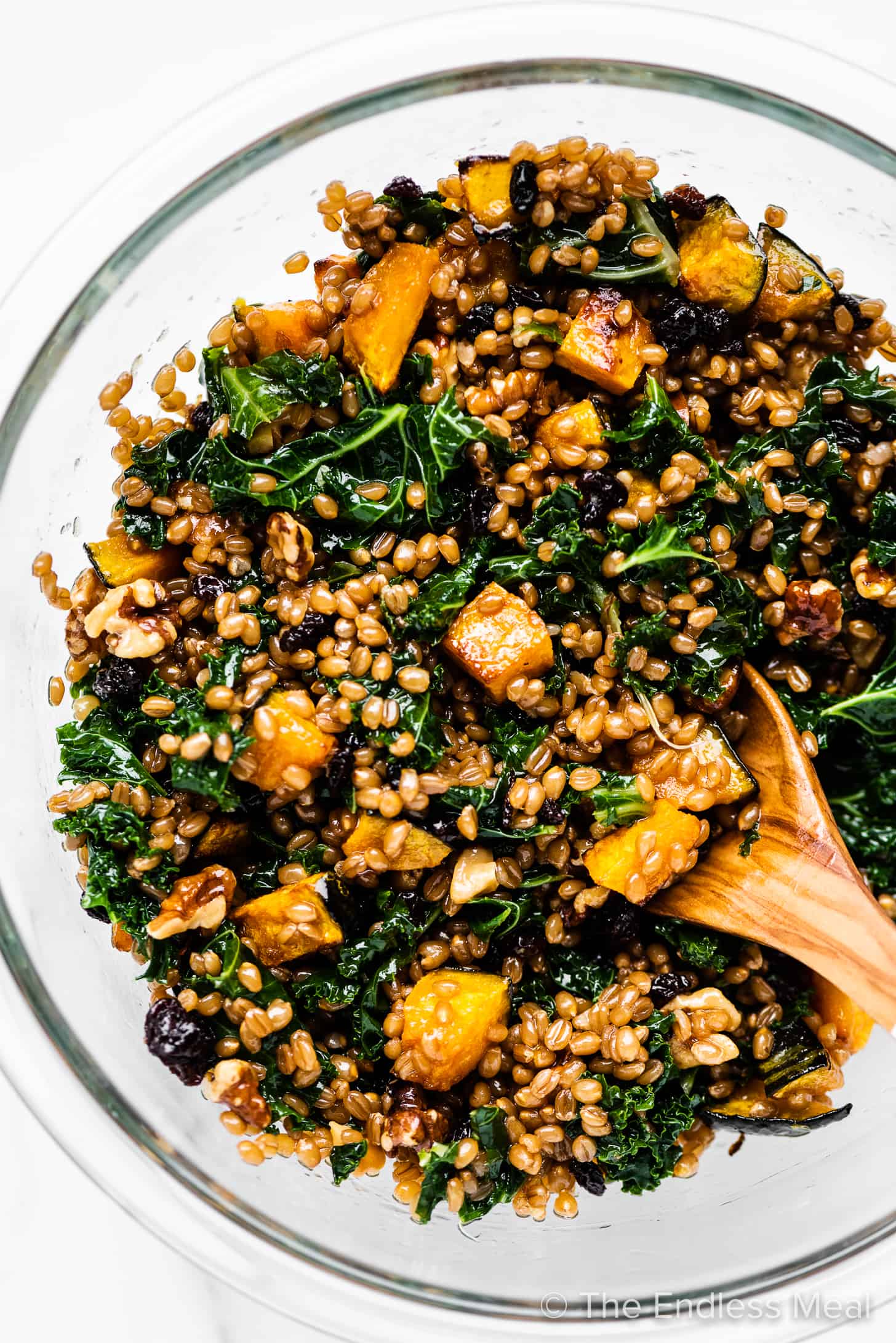 A glass bowl filled with wheat berry salad and a wooden spoon in it. 