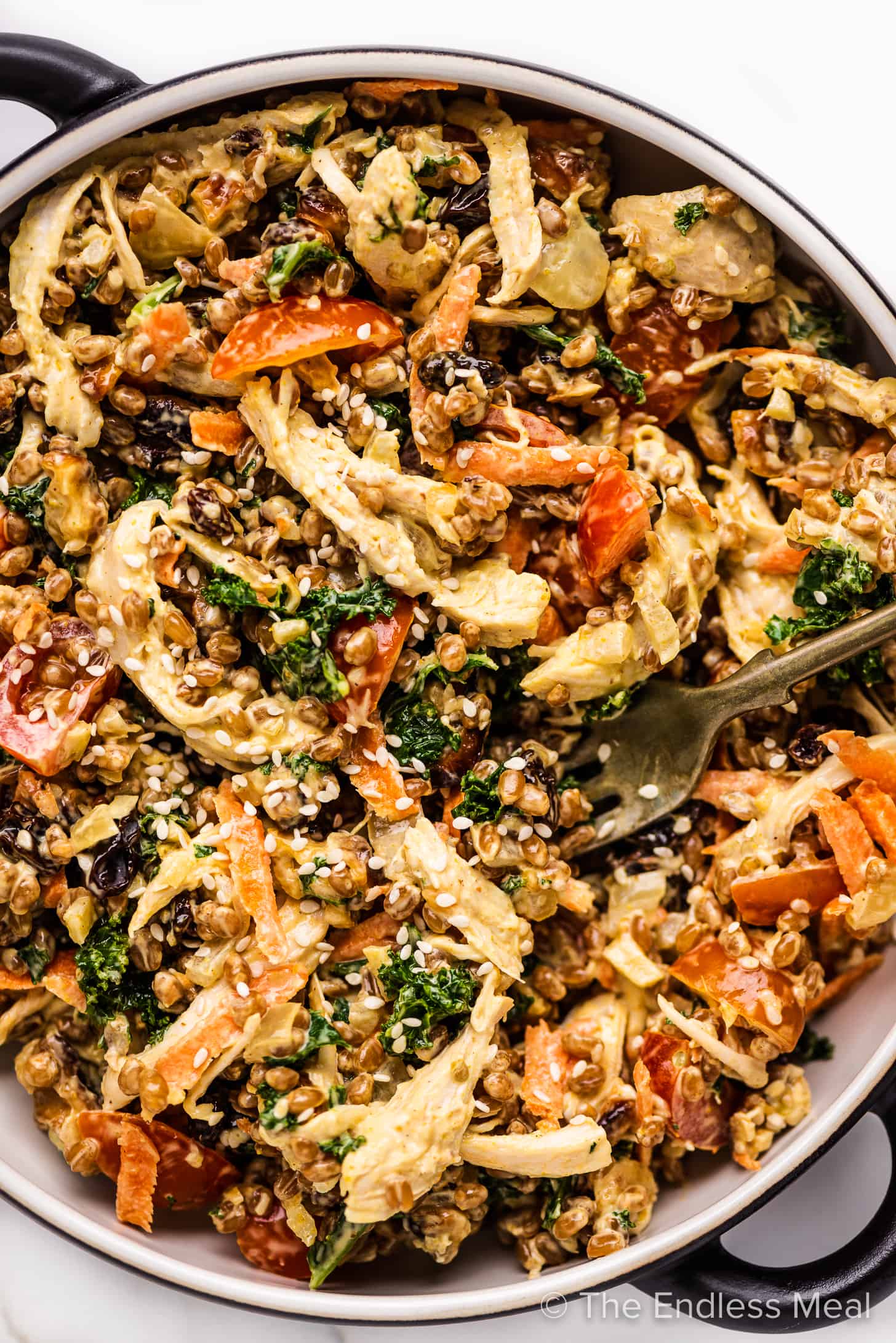 a close up of this Curried Wheat Berry Chicken Salad recipe