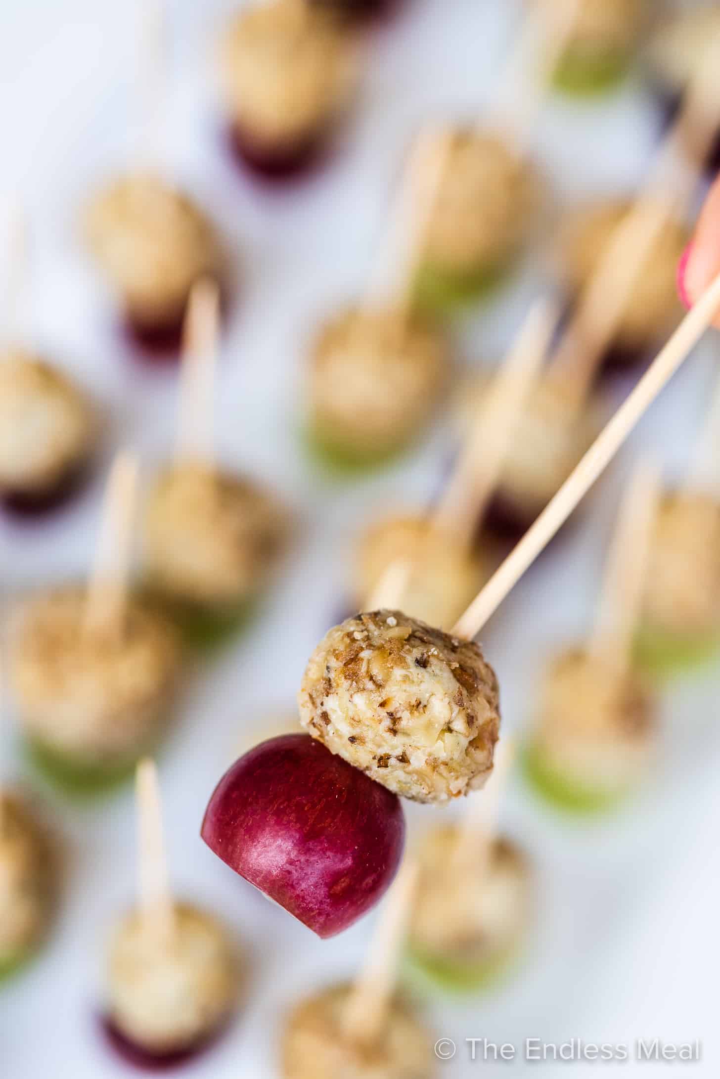 a hand holding a grape blue cheese appetizer bit on a toothpick. 