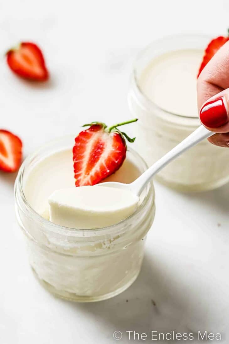 Buttermilk Panna Cotta Recipe The Endless Meal®