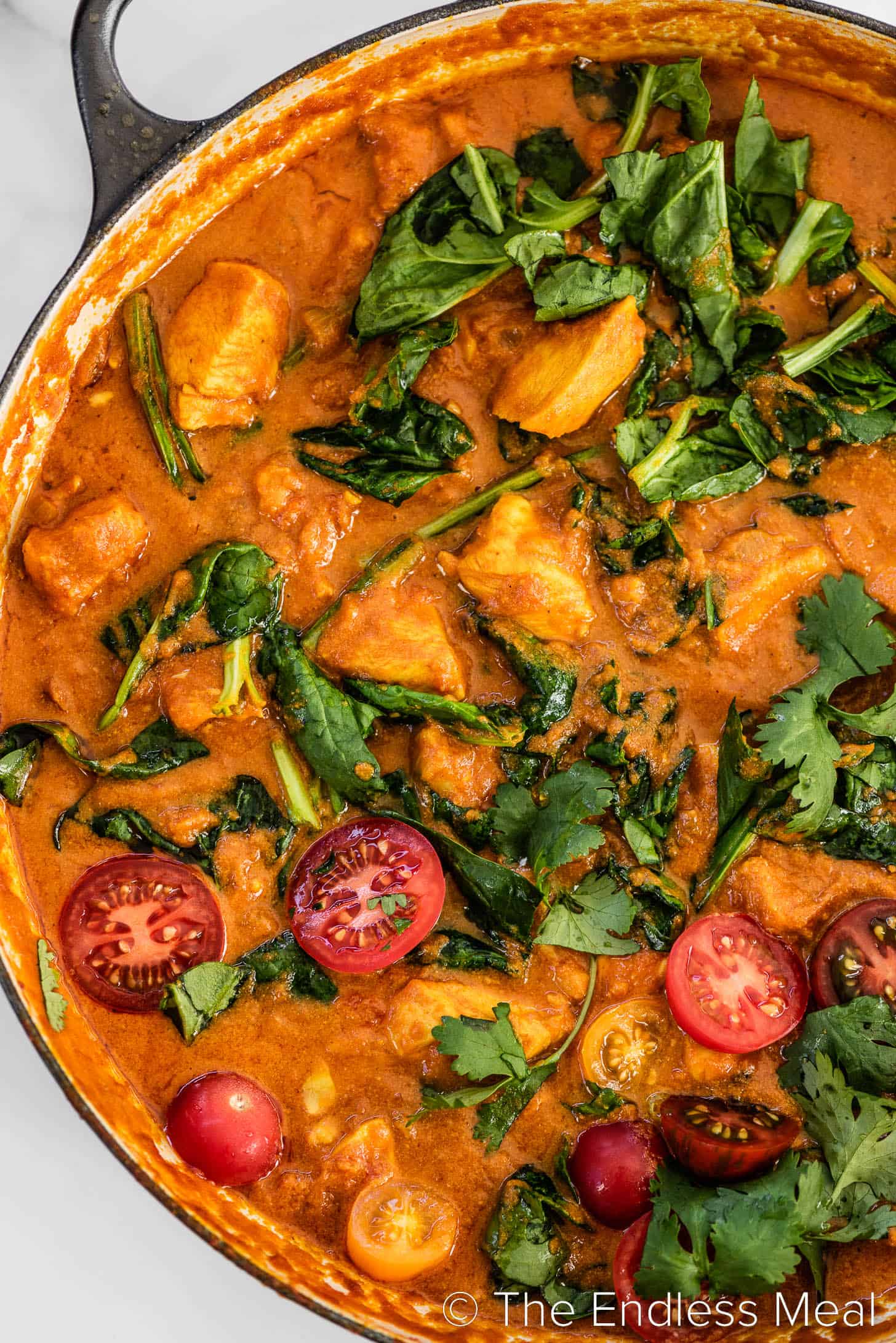 a close up of coconut curry chicken