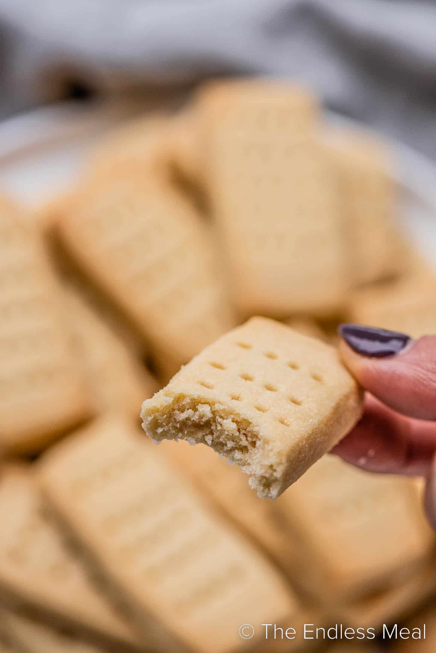 a hand holding a Scottish Shortbread with a bite out of it.