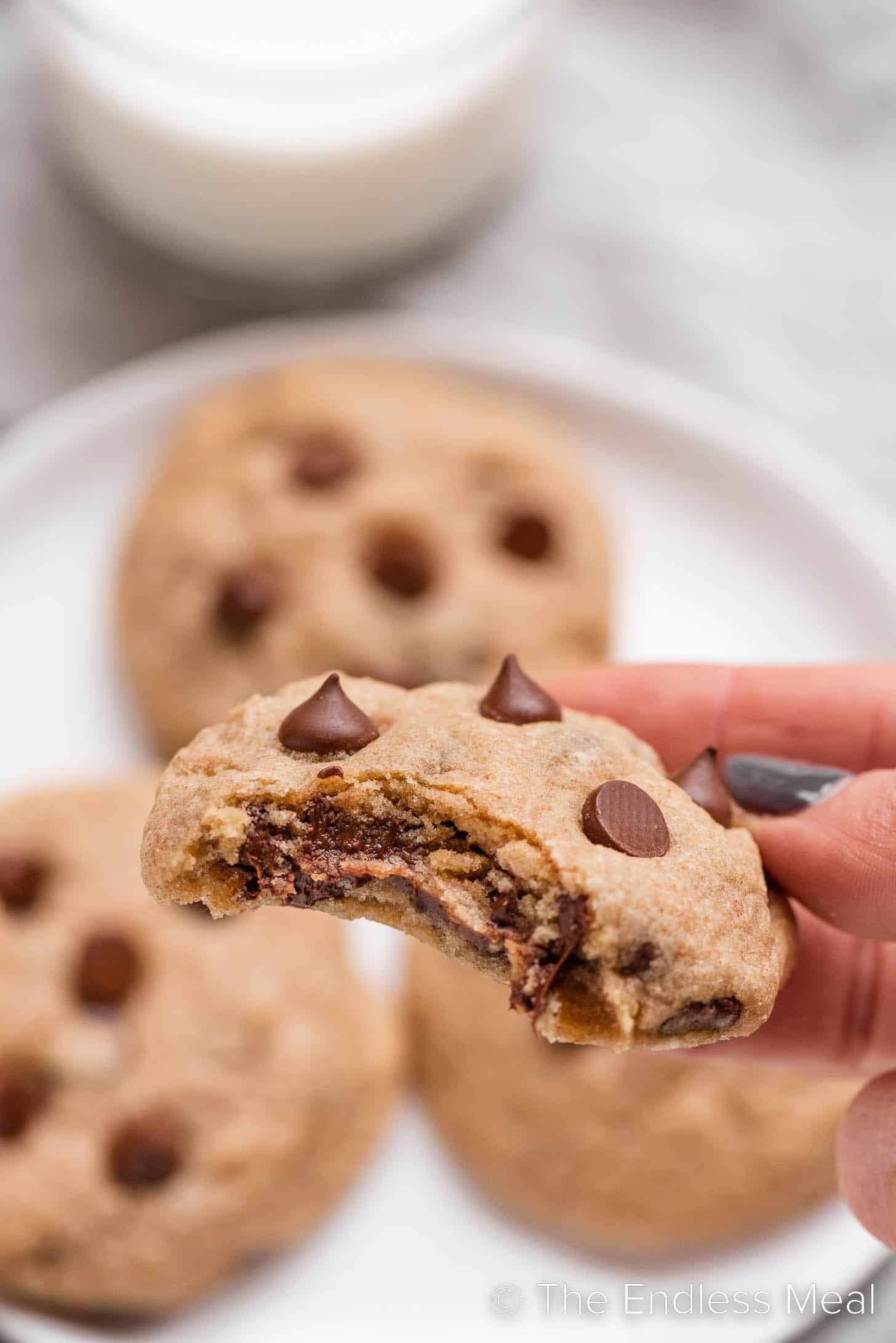 A hand holding a chocolate chip whole wheat cookie with a bite out of it.
