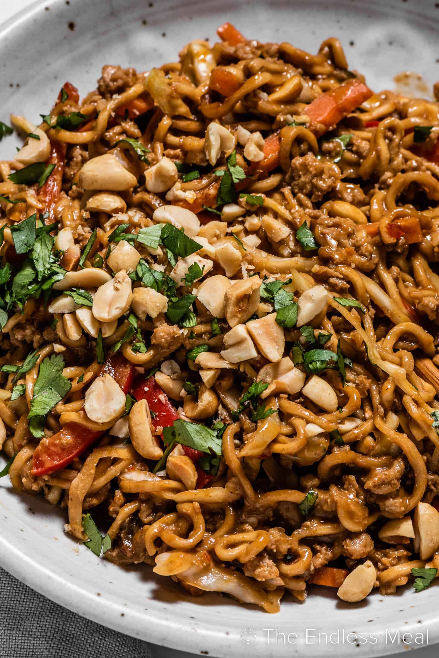 a close up of Thai Chicken Peanut Noodles