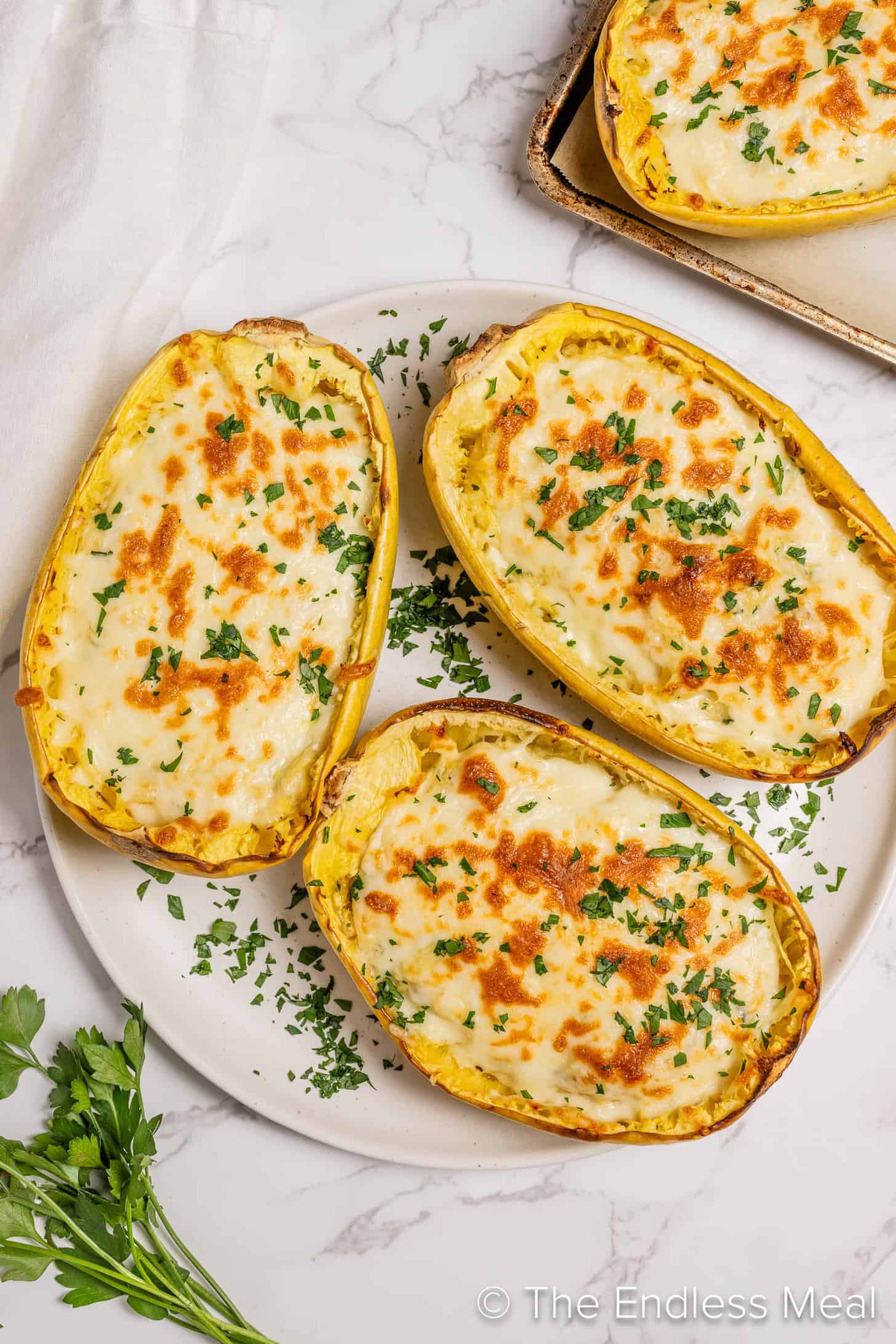Spaghetti Squash Alfredo on a dinner plate sprinkled with parsley