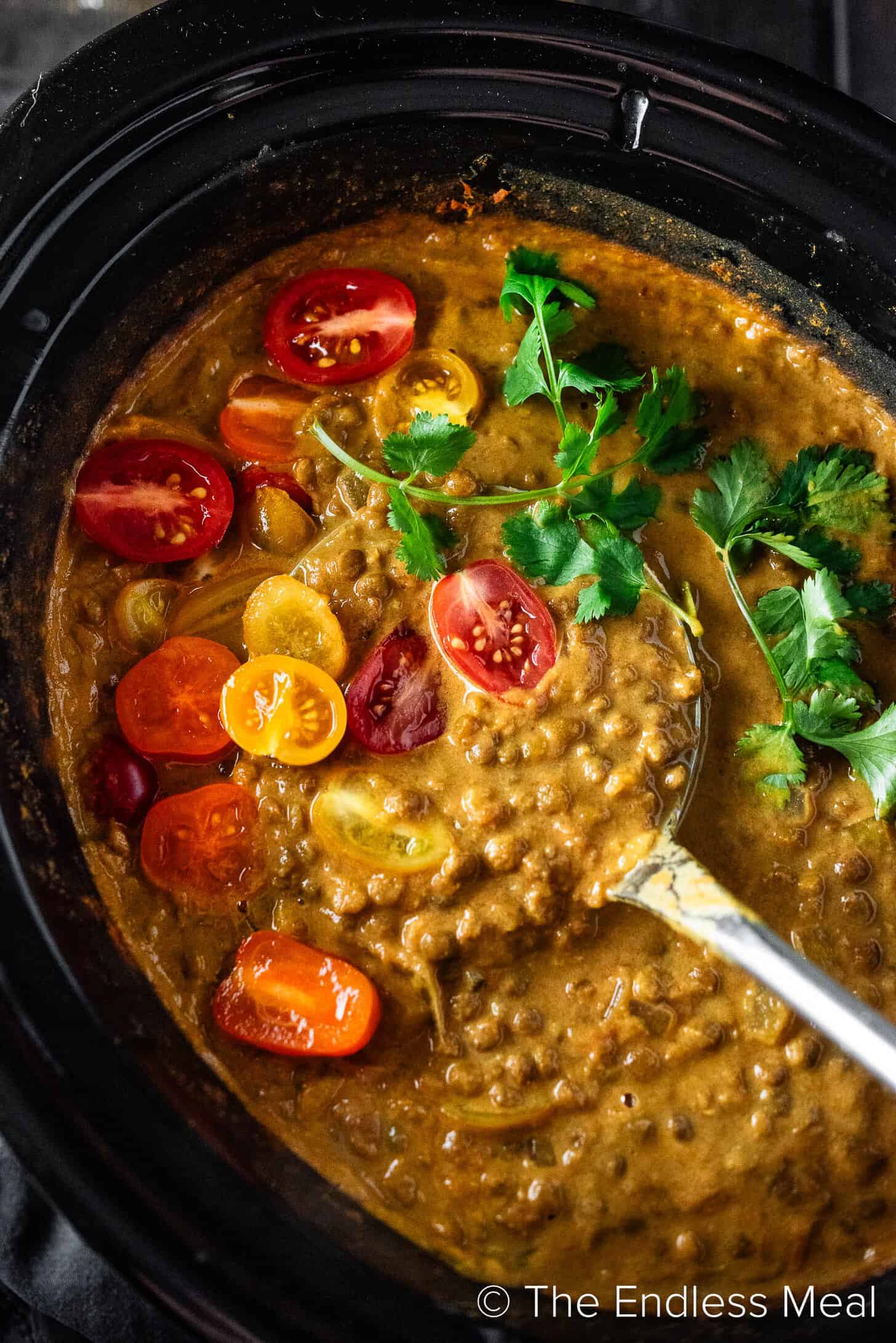 Making Crockpot Lentil Curry in a slow cooker
