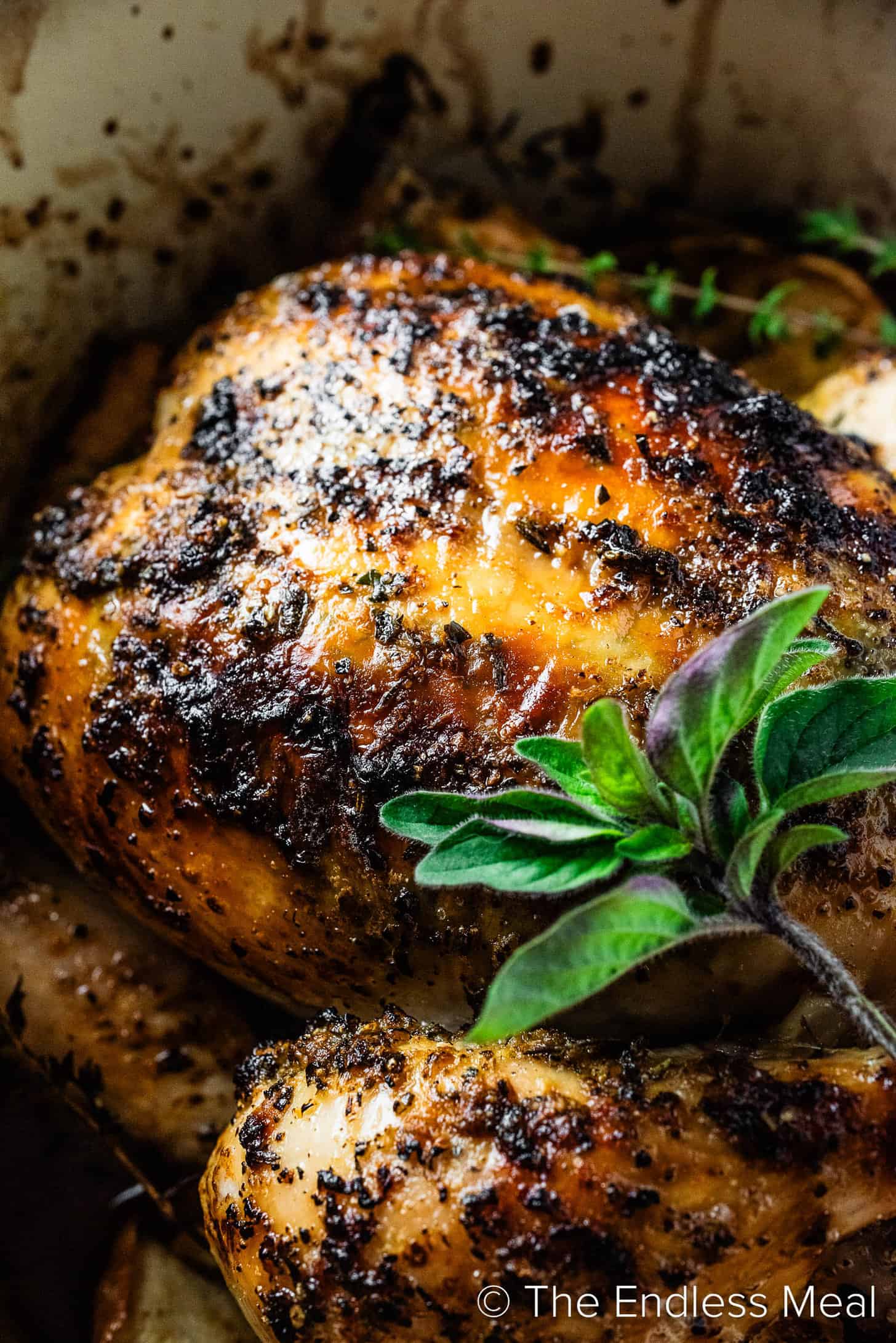 A close up of Lemon Butter Roasted Chicken hot out of the oven