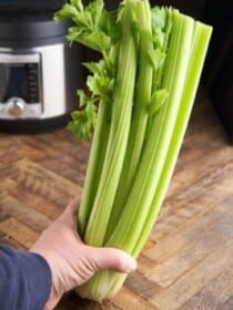 Stalk-of-Celery-vs-Rib-of-Celery-2020-03-03-Celery-Stalk-vs-Rib0380-1920x-267x400