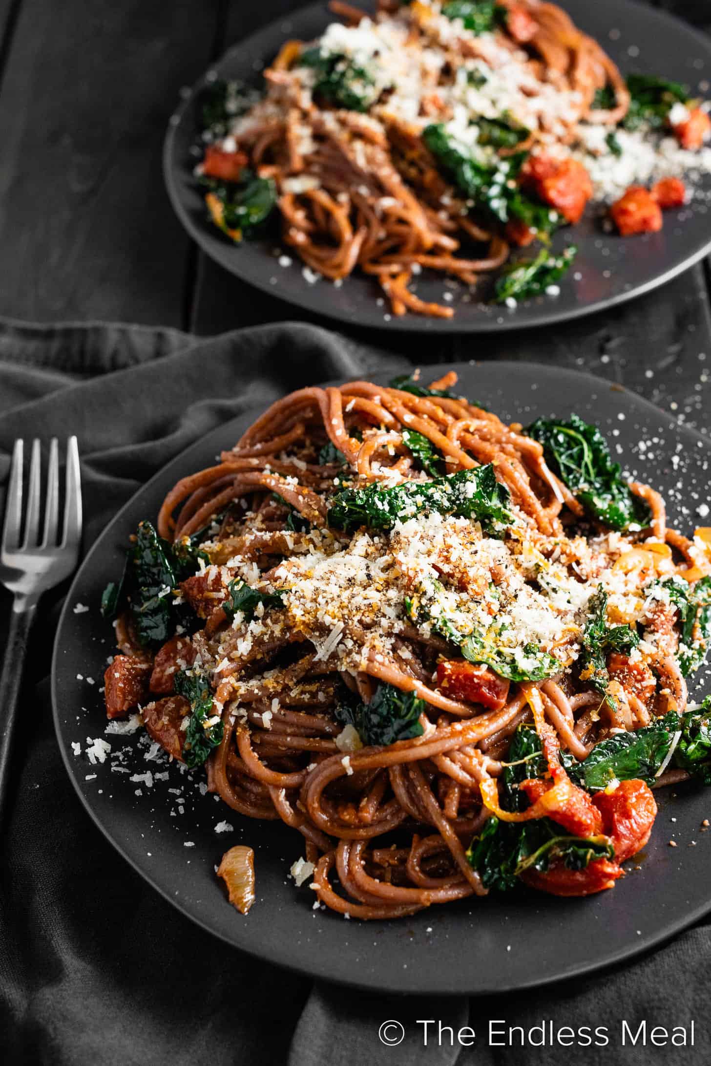 Two dinner plates with Red Wine Spaghetti