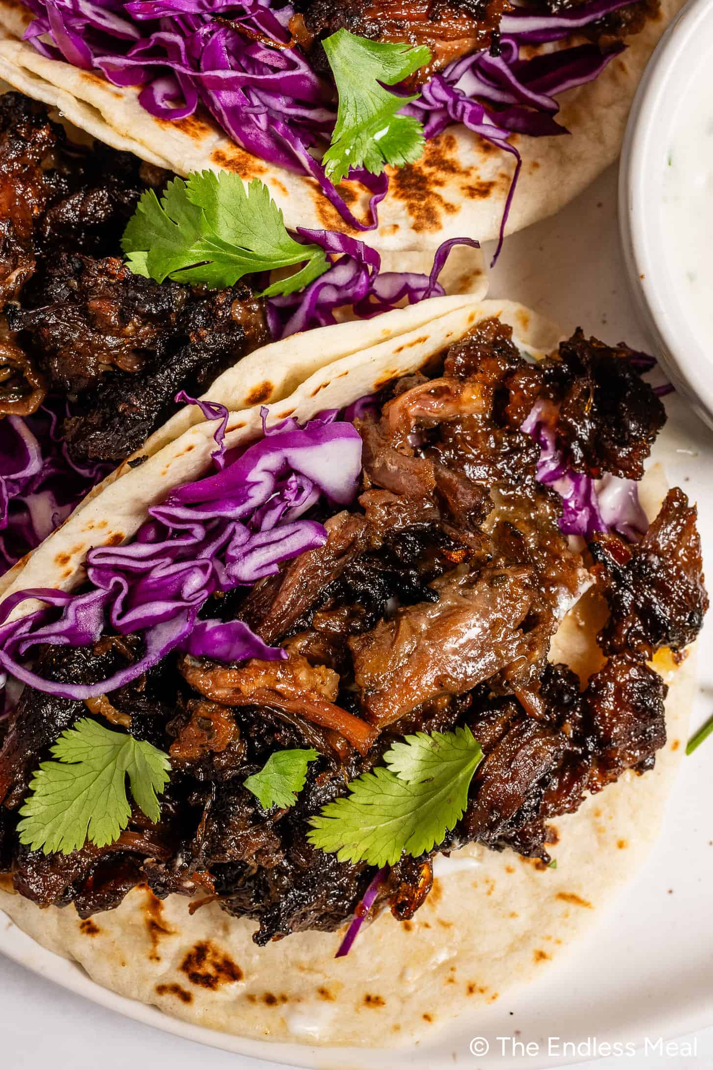 A close up of Oxtail Tacos on a dinner plate