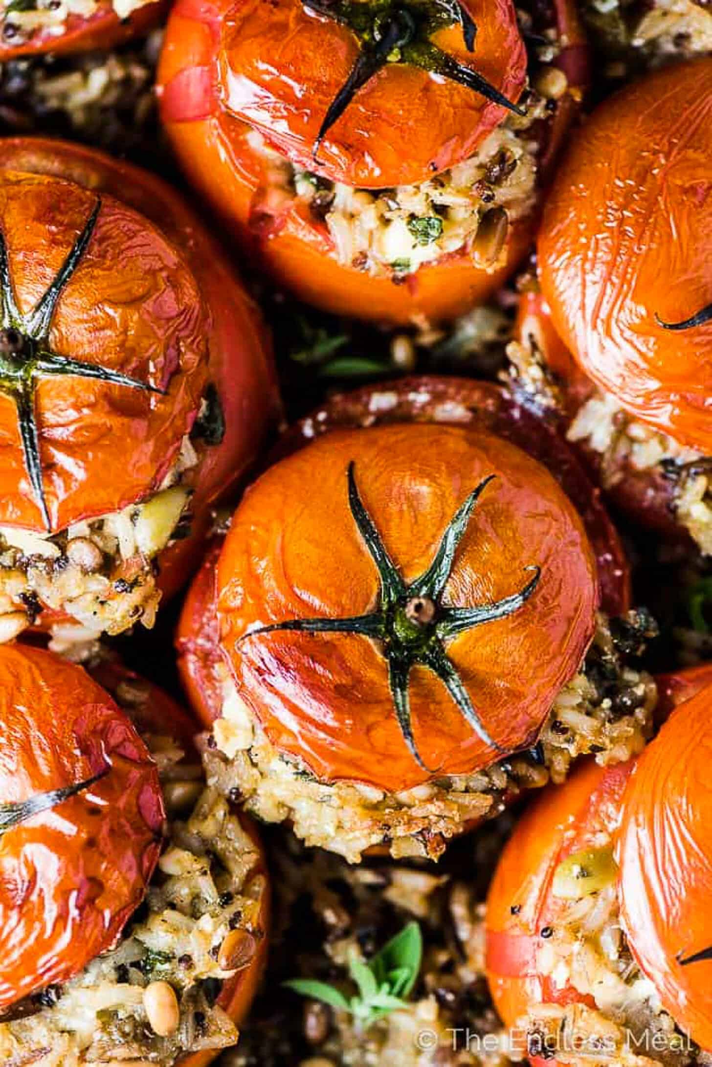 Looking down on a baking dish with Stuffed Tomatoes with Rice