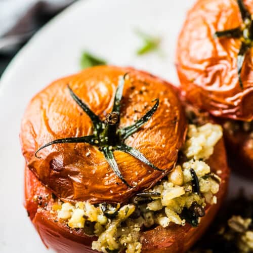 Stuffed Tomatoes with Rice on a dinner plate