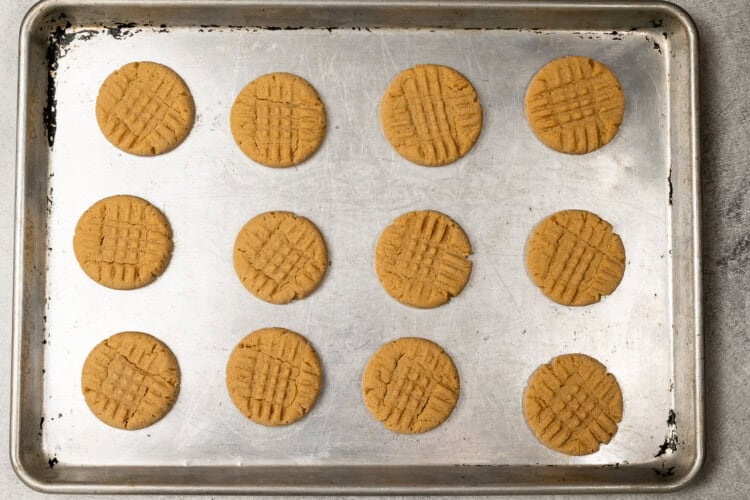image for recipe instruction: A baking sheet with twelve evenly spaced Peanut Butter Cookies, each featuring a classic crisscross pattern on top.